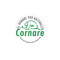 Logo-cornare